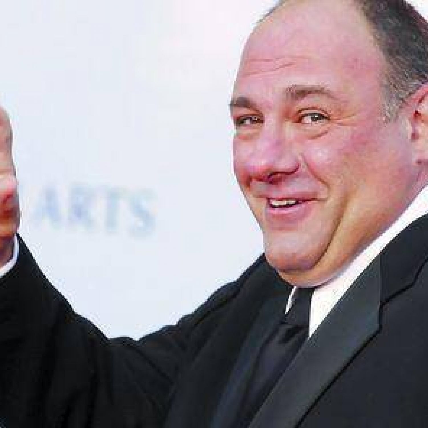 James Gandolfini Adiós a un mafioso entrañable