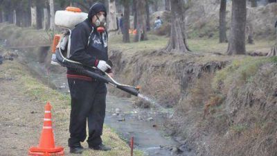 Avellaneda: se realizaron operativos de desratizaci�n en los barrios