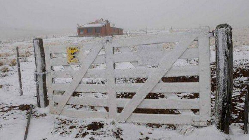 Nev� en Taf� del Valle y el fr�o polar se instal� con fuerza en Tucum�n