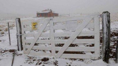 Nev� en Taf� del Valle y el fr�o polar se instal� con fuerza en Tucum�n