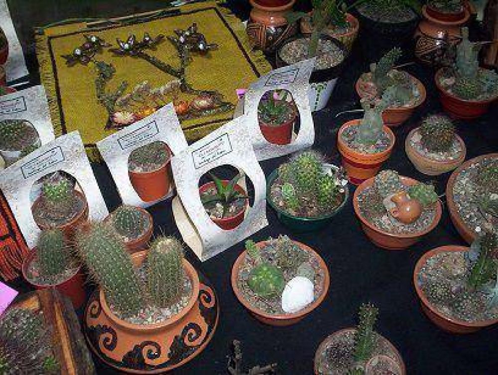 El domingo contin�a la Feria de Artesanos y Emprendedores