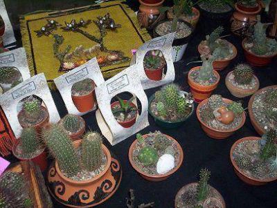 El domingo contin�a la Feria de Artesanos y Emprendedores