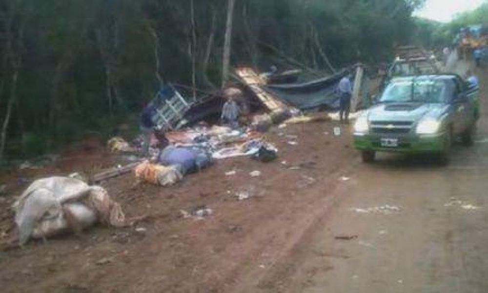 Falleci� otro de los tareferos del choque de Ruta 220