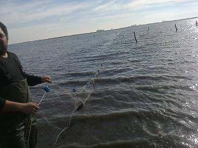 Control de pesca furtiva cerca en la Laguna de G�mez
