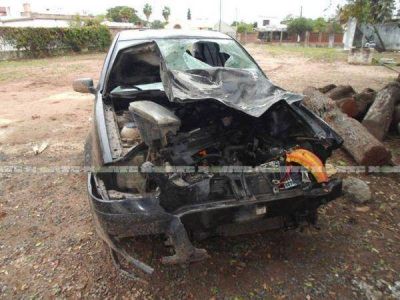 Animal suelto casi provoca tragedia en ruta 89 en Corzuela