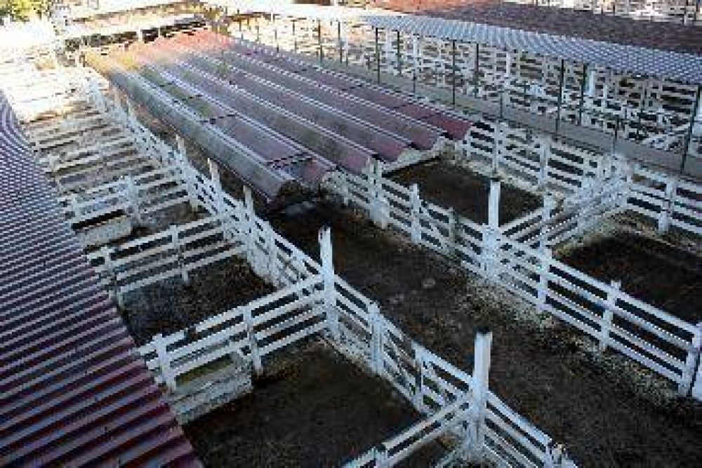 Yauhar dijo que el paro del campo fue un fracaso y el sector le contest� con dureza