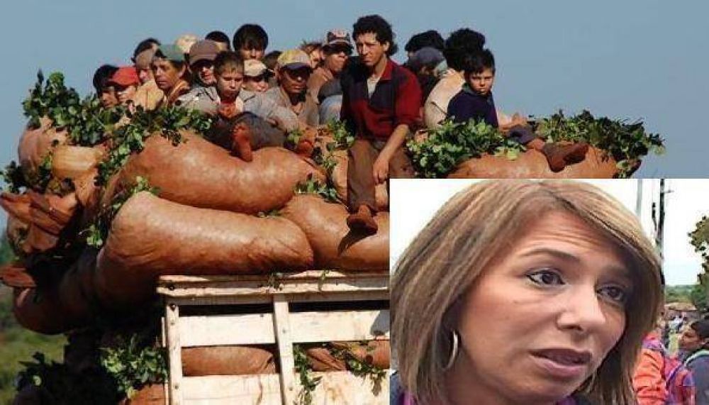 Tragedia Tarefera: �El mate que tomamos est� mezclado con sangre de tareferos�