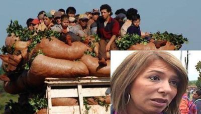 Tragedia Tarefera: �El mate que tomamos est� mezclado con sangre de tareferos�
