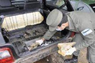 Salta: Gendarmer�a incaut� 44 kilos de marihuana en Senda Hachada