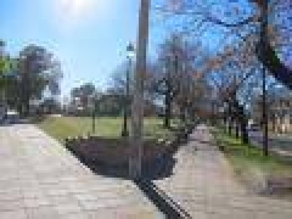 Pablo Zurro: "Entre 35 a 50 d�as, se remodelar� la Plaza Italia"	 