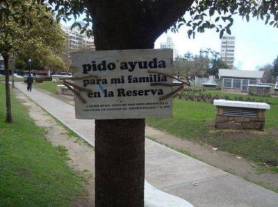 Intervenci�n urbana en �rboles en defensa de las especies de la Reserva Puerto