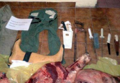La Polic�a de Mar Chiquita desbarat� la �Banda de los carniceros� que asolaba ese Partido