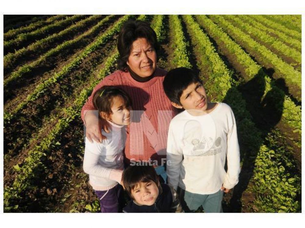 Producir y comercializar verduras, un desaf�o familiar