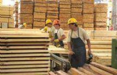 Convocan a empresarios del sector maderero a la reuni�n de la Mesa Foresto Industrial de Salta