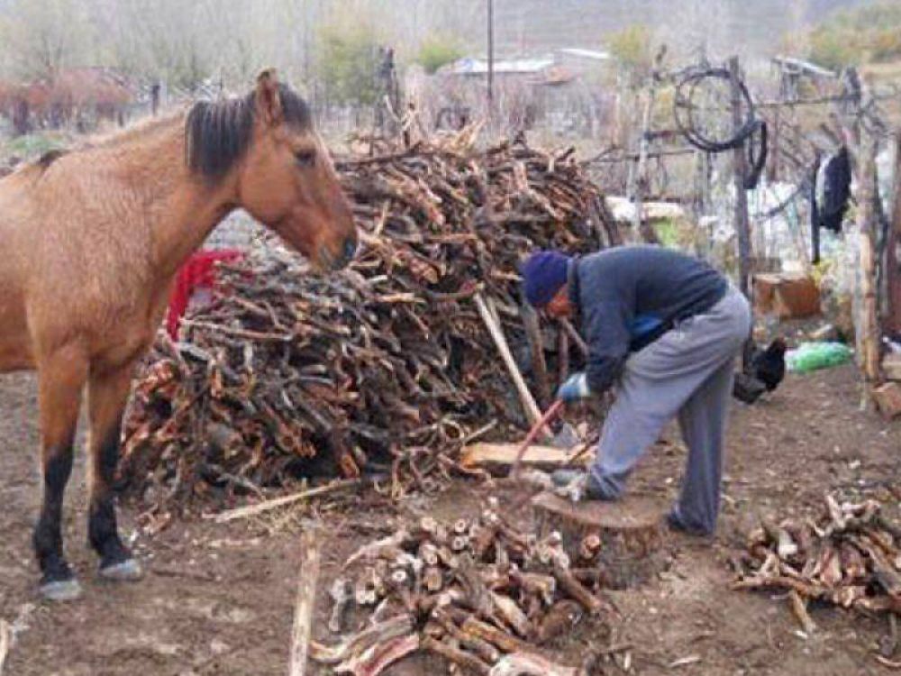Con la entrega de garrafas sociales y le�a, est� en marcha el Plan Calor 2013