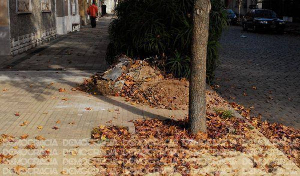 Quejas en El Picaflor por la ausencia de limpieza y el mal estado de las cloacas