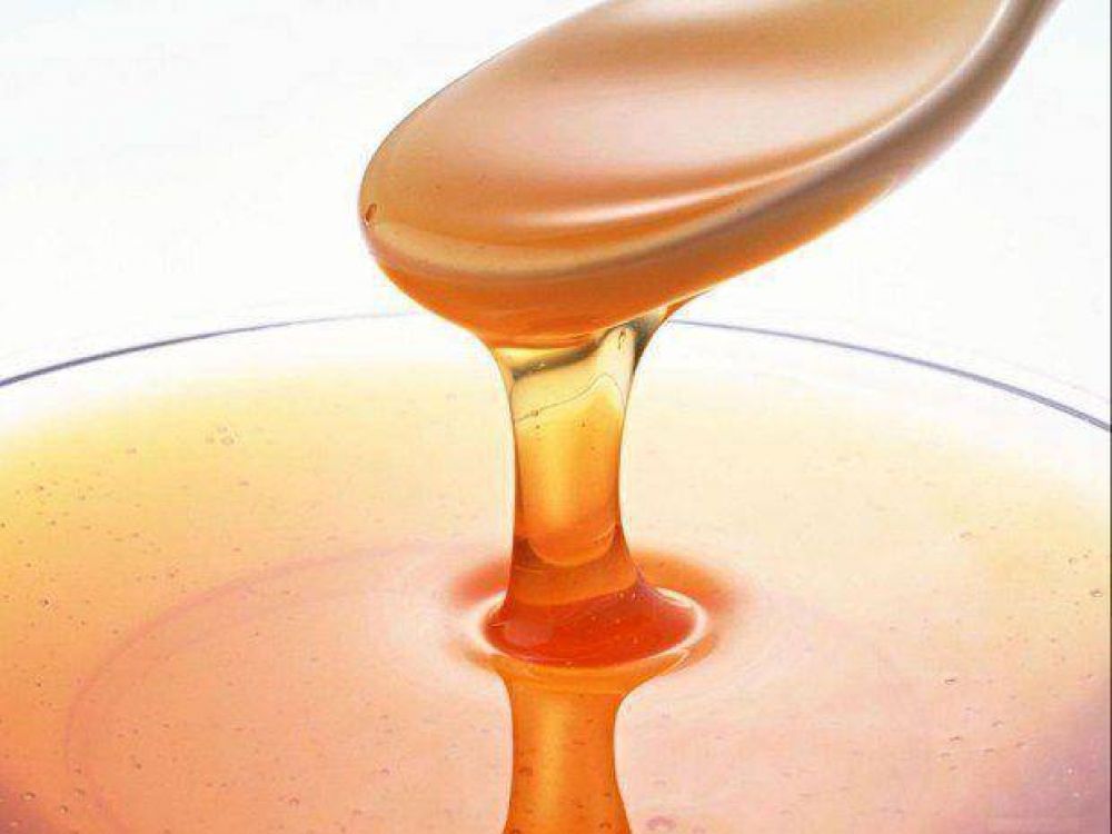 Mejoraron la produccin de miel con la aplicacin de bacterias probiticas