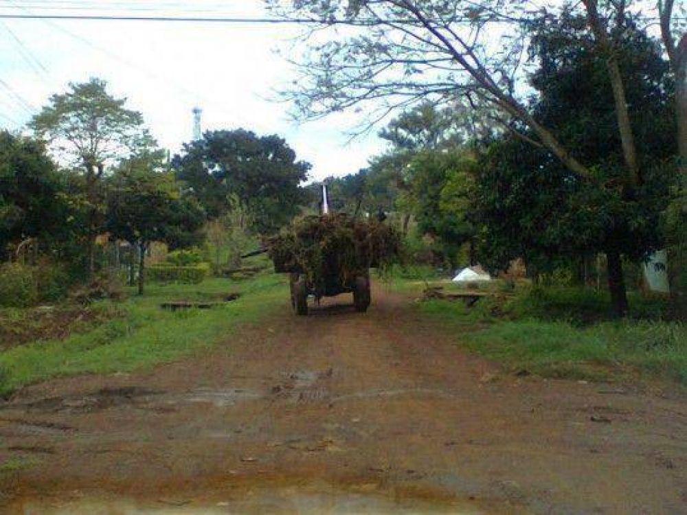 La Municipalidad contin�a con las tareas de limpieza en los barrios