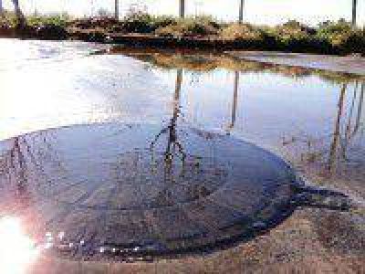 Cloacas desprenden fluidos hacia la calle en el Plan Federal, el olor es insoportable y los vecinos temen posibles enfermedades que esto puede acarrear