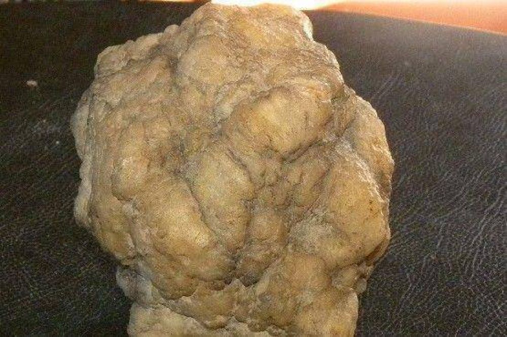 Trabajador portuario guarda desde hace 25 a�os un meteorito que hall� en el campo