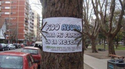 �rboles piden ayuda para su familia en la Reserva Natural del Puerto ante el avance del Club Aldosivi