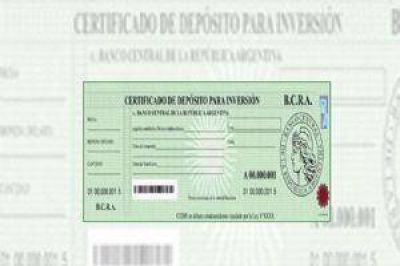 Constructores locales preparan propuestas para aceptar Cedin
