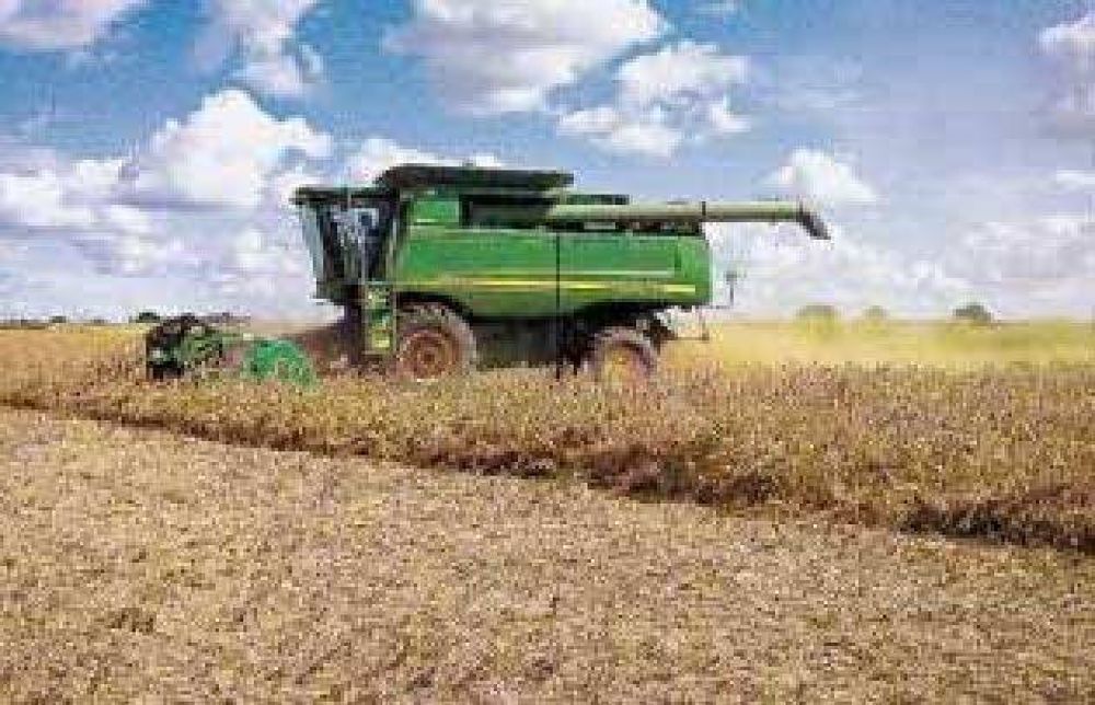 El pool de siembra deja de ser negocio y caen los alquileres de los campos
