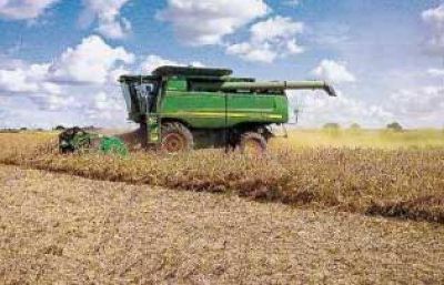 El pool de siembra deja de ser negocio y caen los alquileres de los campos