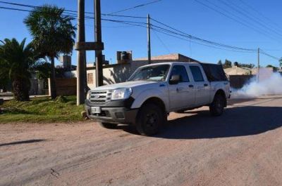 Contin�an realizando jornadas de fumigaci�n y control de vectores en barrios de Villa �ngela