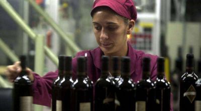 El Vino de la Costa, bajo la lupa de la comisi�n t�cnica que asesora al INV