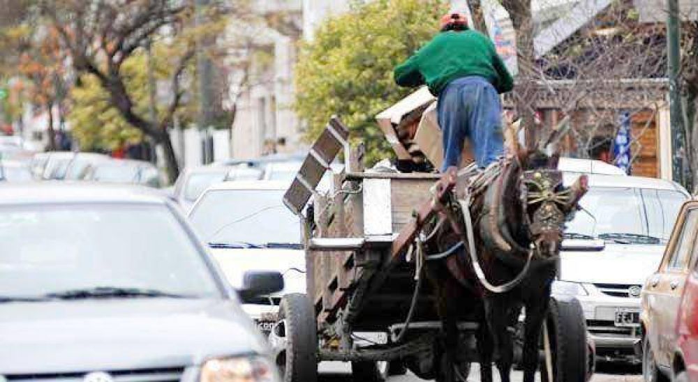 Impulsan campa�a para erradicar la tracci�n a sangre