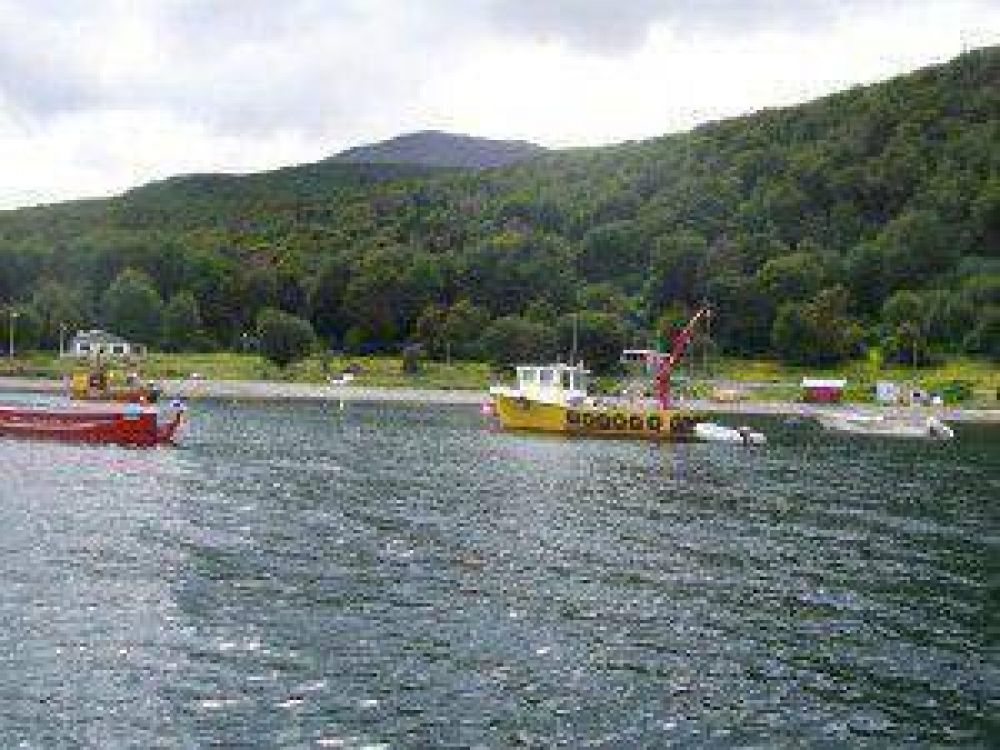 Se levant� la veda de mejillones provenientes de la zona ARTF 002