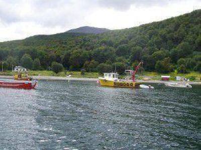 Se levant� la veda de mejillones provenientes de la zona ARTF 002