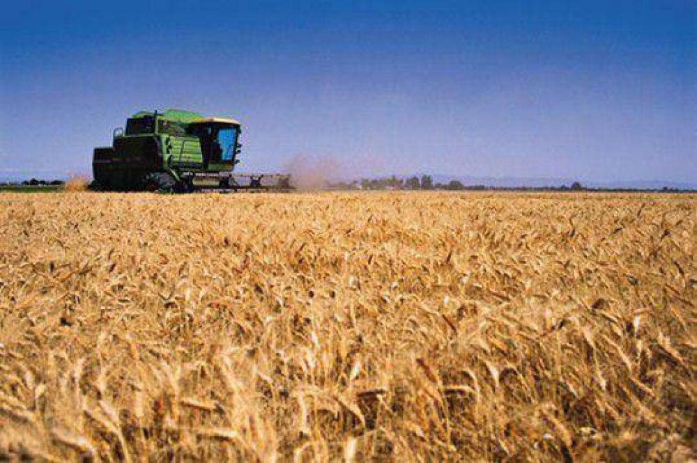 El Gobierno garantiz� el normal abastecimiento de trigo