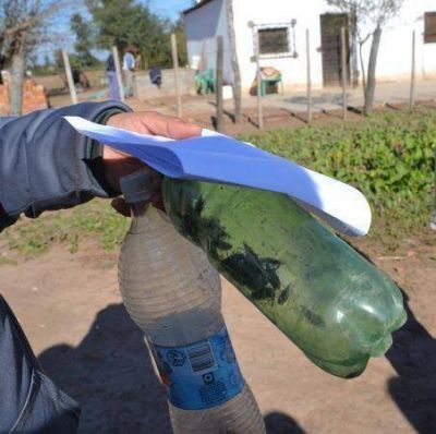 Chagas: desde hace 2 a�os no se hac�an controles de vectores