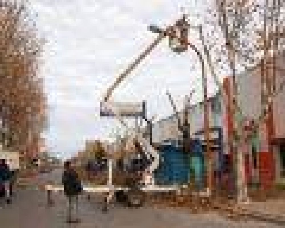 Contin�an los trabajos de poda en la ciudad	 