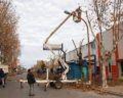 Contin�an los trabajos de poda en la ciudad	 