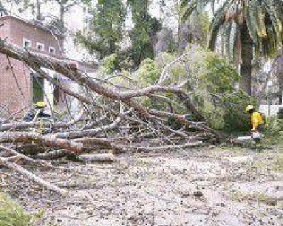 M�s de 30 incendios, �rboles ca�dos y 5 mil usuarios sin luz