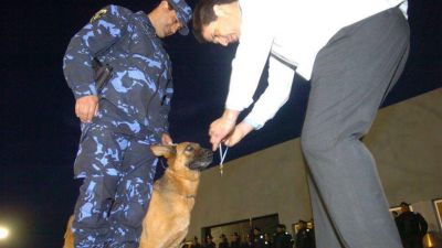 Distinguieron a los perros h�roes de la Polic�a de C�rdoba