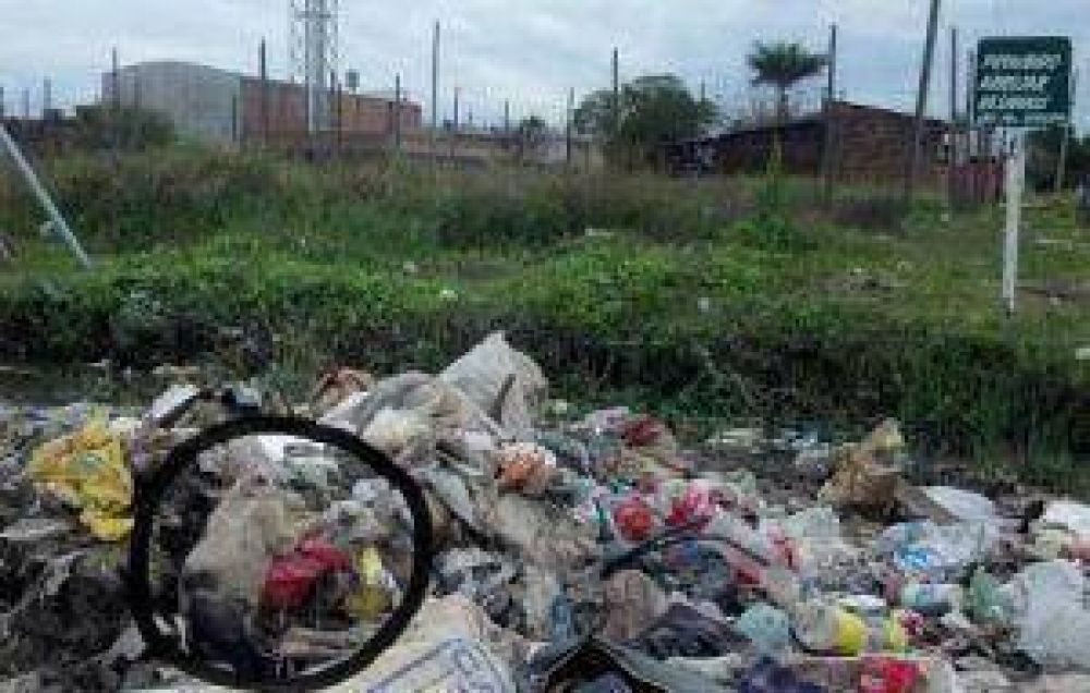 El basural de la Bouvier sum� un lech�n a su lista de animales muertos