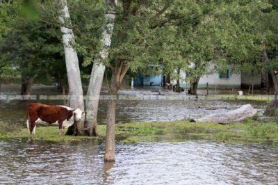 Crece la cantidad de evacuados: cerca de 1.300 personas tuvieron que dejar sus hogares