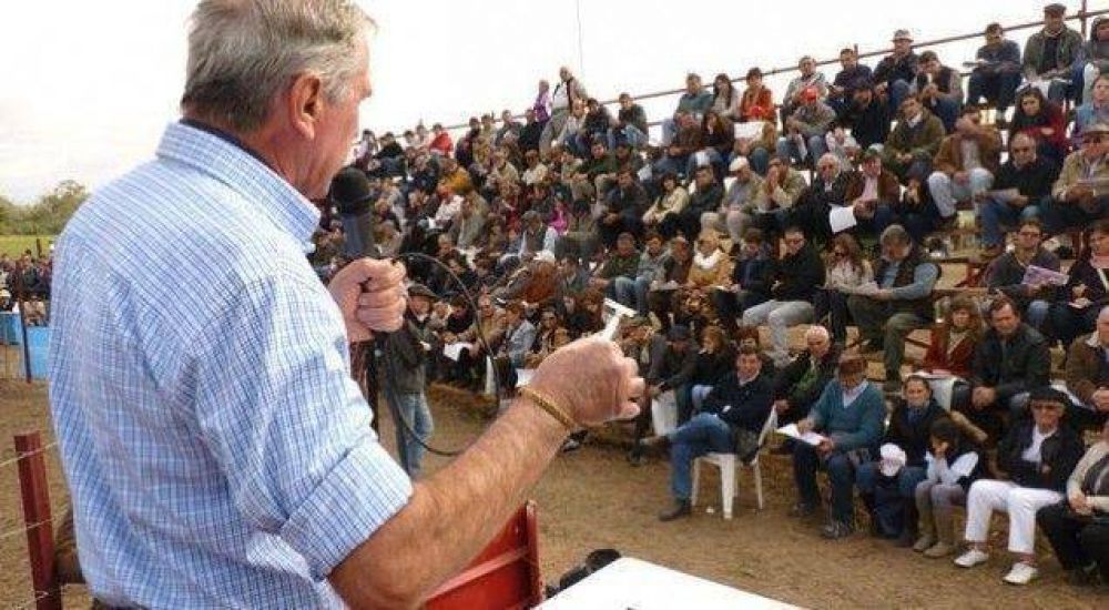 Agronea 2013: El toro m�s caro se vendi� en 41 mil pesos