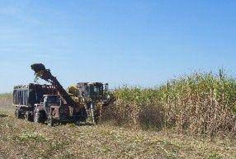 Ca�eros advierten que podr�an tomar medidas de fuerza