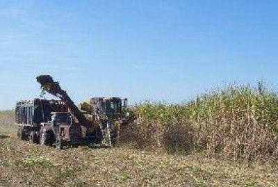 Ca�eros advierten que podr�an tomar medidas de fuerza