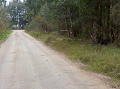 C�mo es el lugar donde estuvo oculto ocho meses el cad�ver de Walter Serra