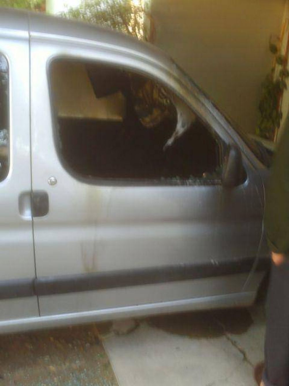 Negromanti: �Hay gente que le pagaron para venir y hacer esto�