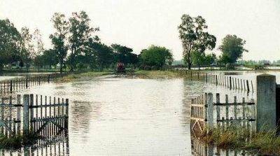 Productores de Corral de Bustos se unen para prevenir inundaciones