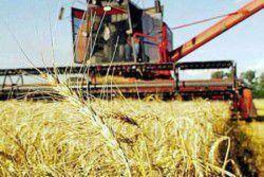 Informe del CONES sobre los mercados agropecuarios