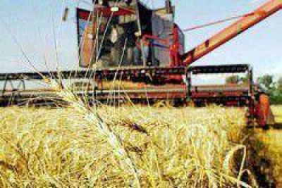 Informe del CONES sobre los mercados agropecuarios