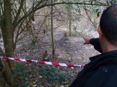 Afirman que el levantamiento de los huesos de Serra se hizo de forma irregular